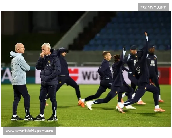 热刺球员特尔愿外租离队，寻求更多机会随法国队踢世界杯